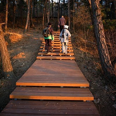 High-density Strand Woven Bamboo Decking